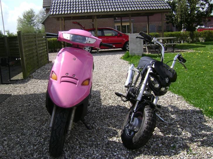 Jincheng Monkey [Byttet til jog] - Monkey´en og søsters comet:D:D billede 4