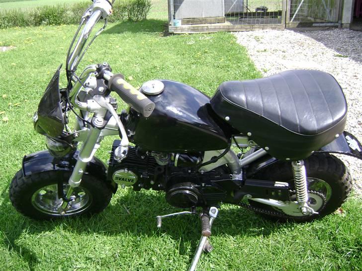 Jincheng Monkey [Byttet til jog] - Monkey:D billede 5