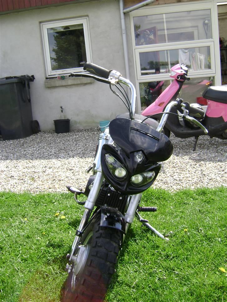 Jincheng Monkey [Byttet til jog] - Monkey:D billede 6