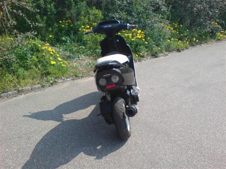 Honda SFX **SOLGT** billede 4