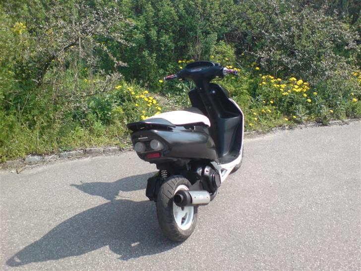 Honda SFX **SOLGT** billede 5