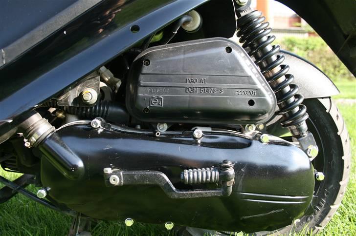 PGO Black Magic SOLGT billede 12