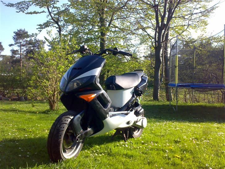 Peugeot SpeedFight (Solgt) billede 13