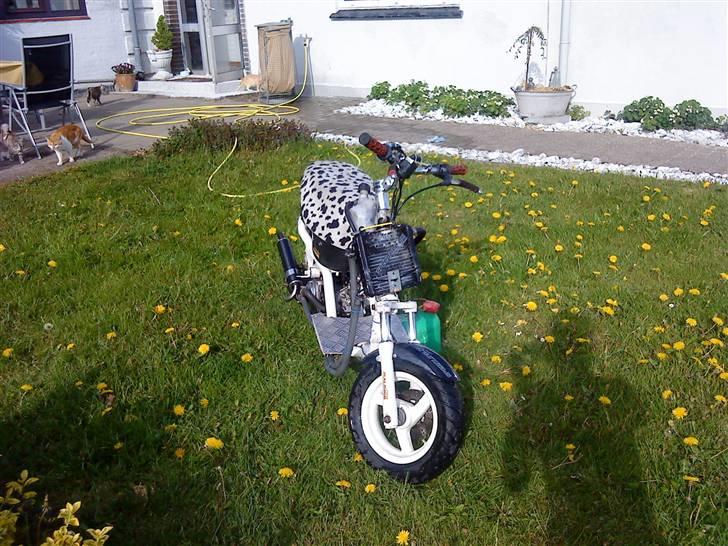 Aprilia Sonic LCE evo2 **SOLGT** billede 6