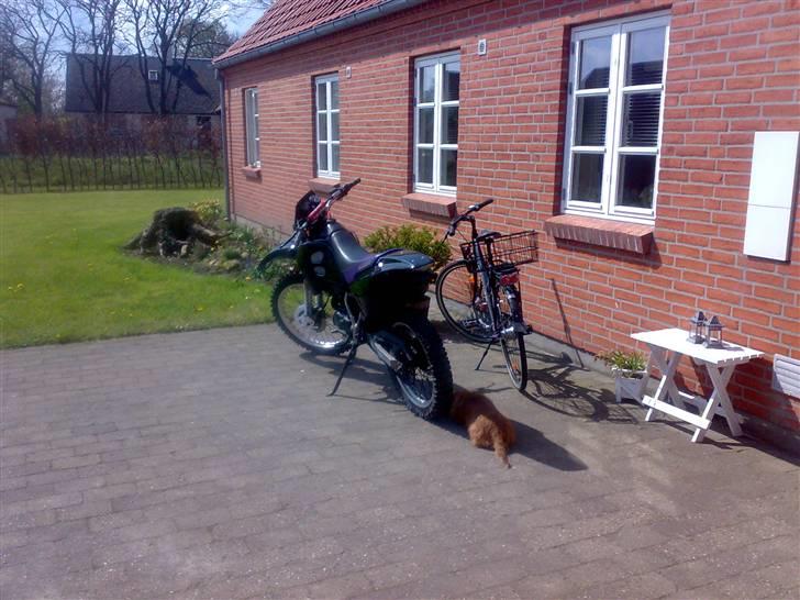 Suzuki Rmx Lc DD (SOLGT) - Den ligger lige og passer på vilddyret :) billede 14