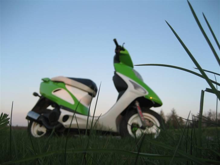 Honda  SFX solgt billede 14