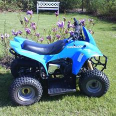 MiniBike chivalcon ATV - TIL SALG!