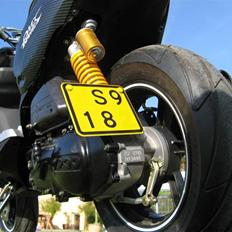 PGO PMX NAKED CARBON  