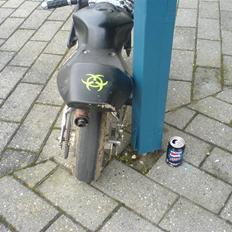 MiniBike pocket bike SOLGT