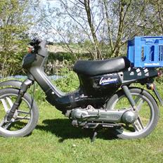 Honda Wallaroo
