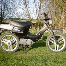 Honda Wallaroo