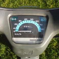 Honda Wallaroo