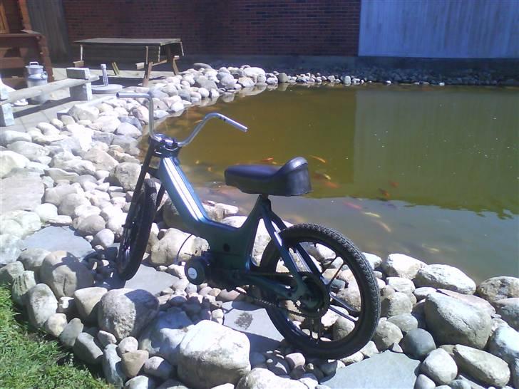 Puch Maxi Projekt 100! %  billede 4