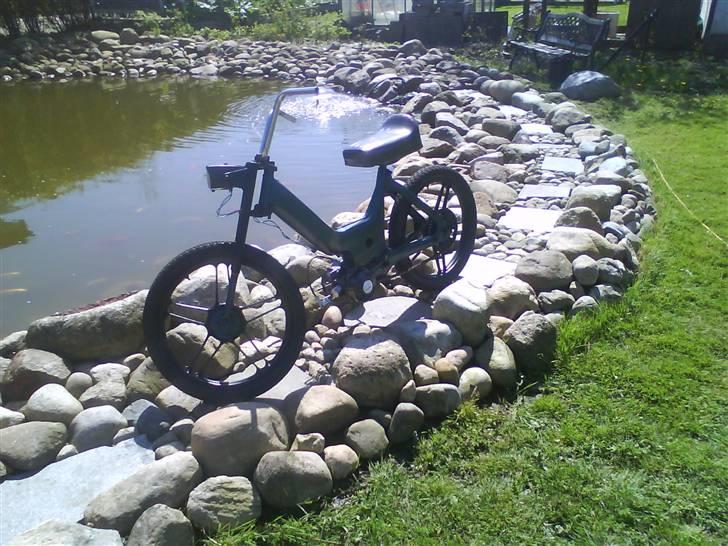 Puch Maxi Projekt 100! %  billede 5