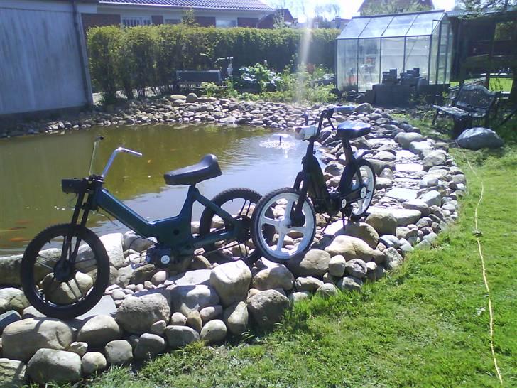 Puch Maxi Projekt 100! %  billede 9