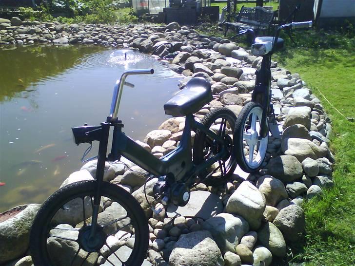 Puch Maxi Projekt 100! %  billede 11