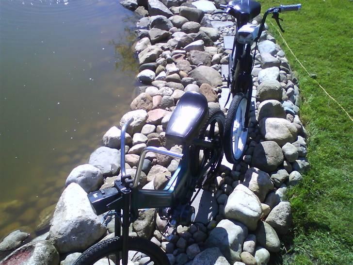 Puch Maxi Projekt 100! %  billede 12