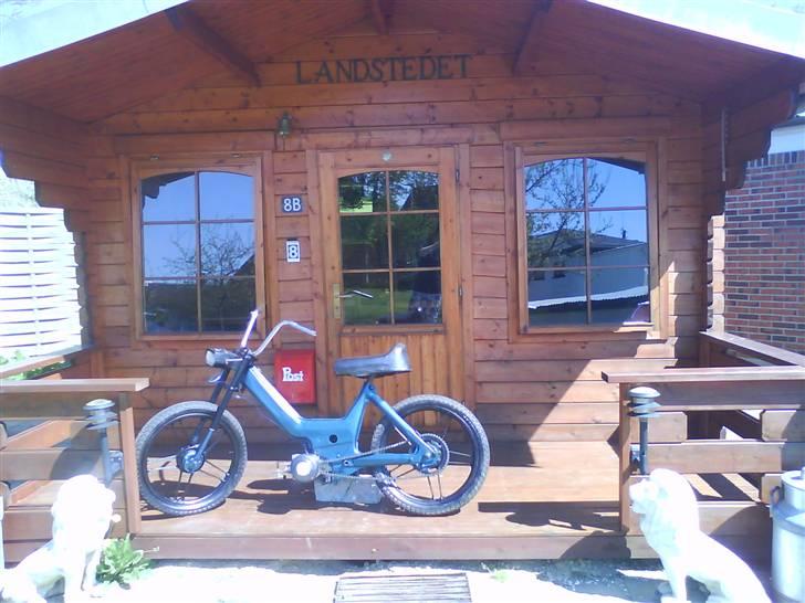 Puch Maxi Projekt 100! %  billede 14