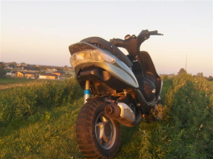 Gilera !Stalker! Solgt billede 7