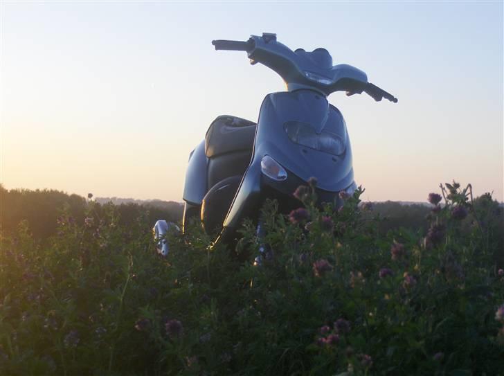 Gilera !Stalker! Solgt billede 9