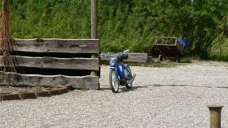 Puch maxi k  SOLGT! billede 3