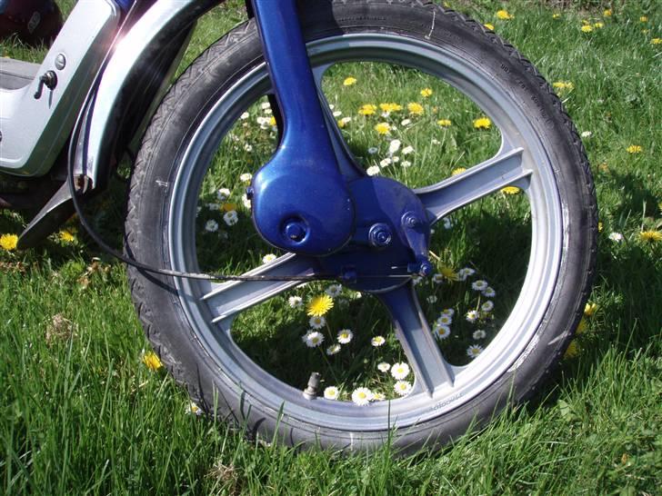 Vespa ciao SOLGT billede 7