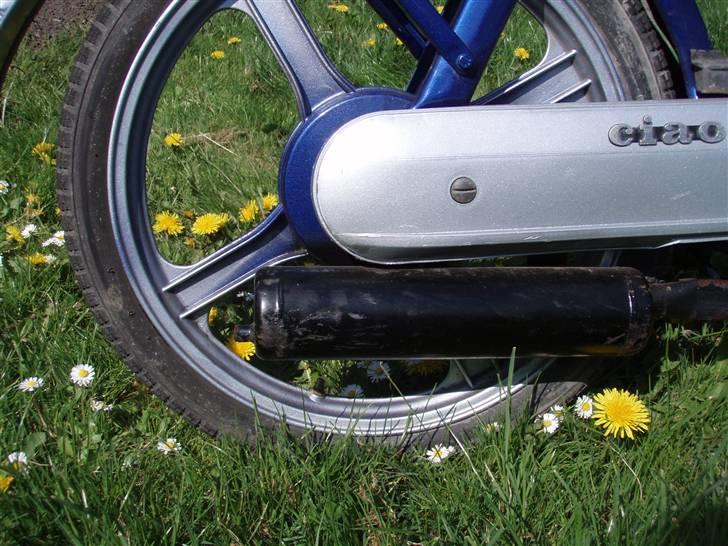 Vespa ciao SOLGT billede 12