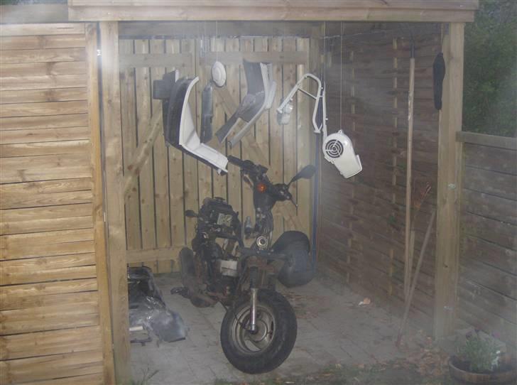 PGO hot 50 solgt billede 8