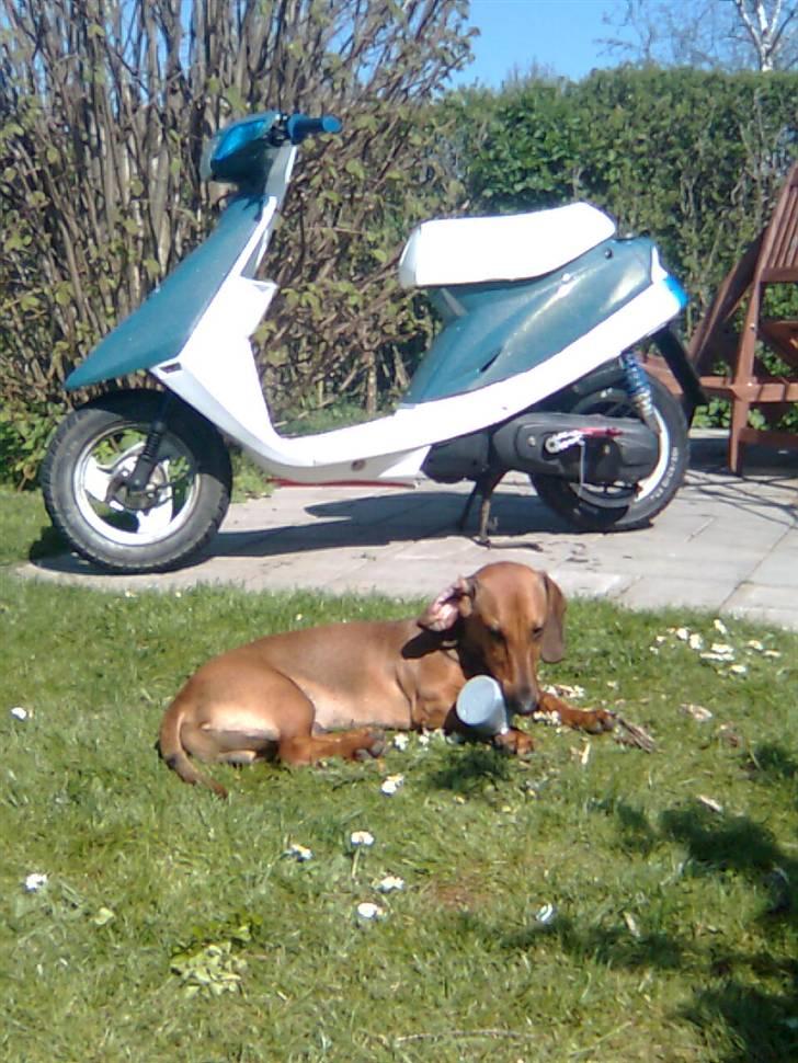 Yamaha JogAS byttet T SSM - nyt billede 8