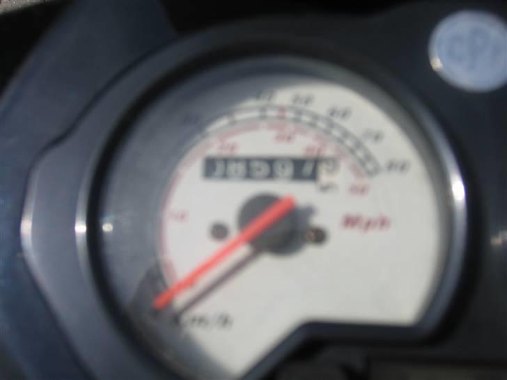 CPI Oliver City:   billede 7