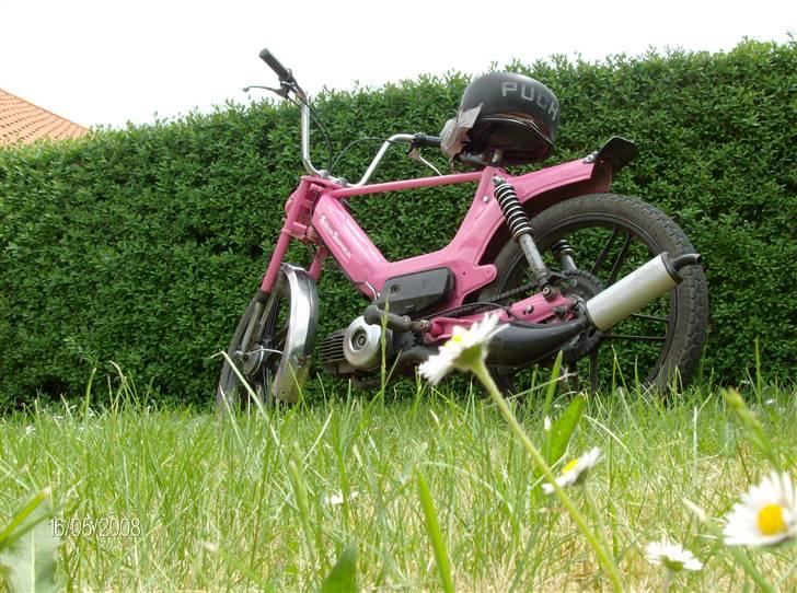 Puch Maxi kl *SOLGT* billede 7