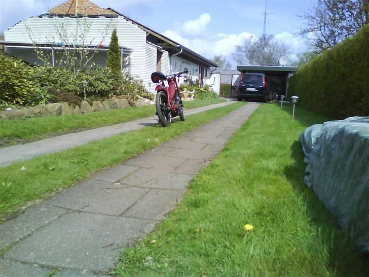 Puch Maxi KL >>BYTTET<< billede 13