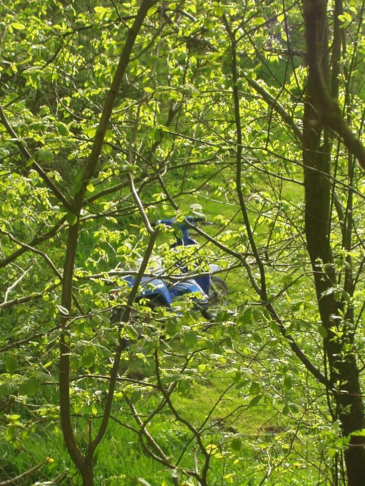 Honda Melody Mini - TILSALG ! billede 15