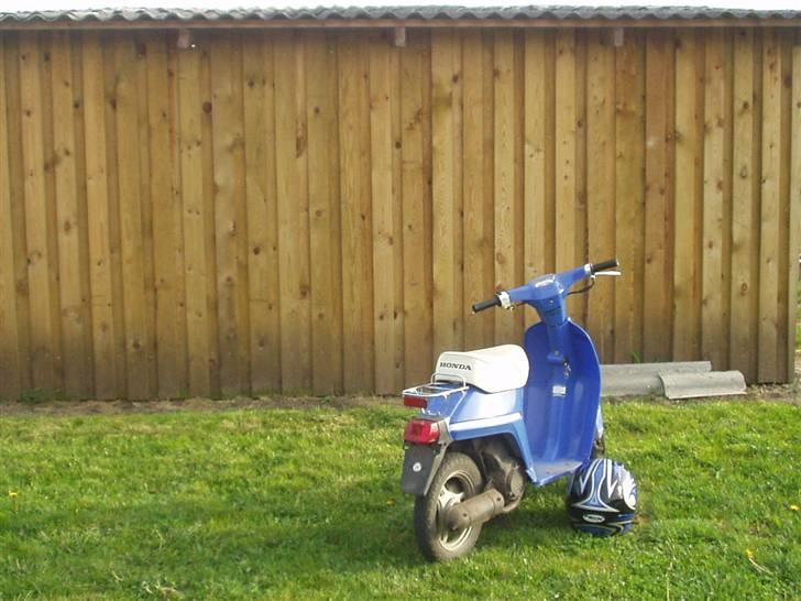 Honda Melody Mini - TILSALG ! billede 16