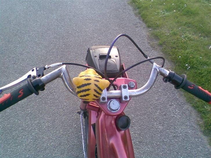 Puch  Maxi K Polini (Byttet) - Tiger båt horn :D billede 13