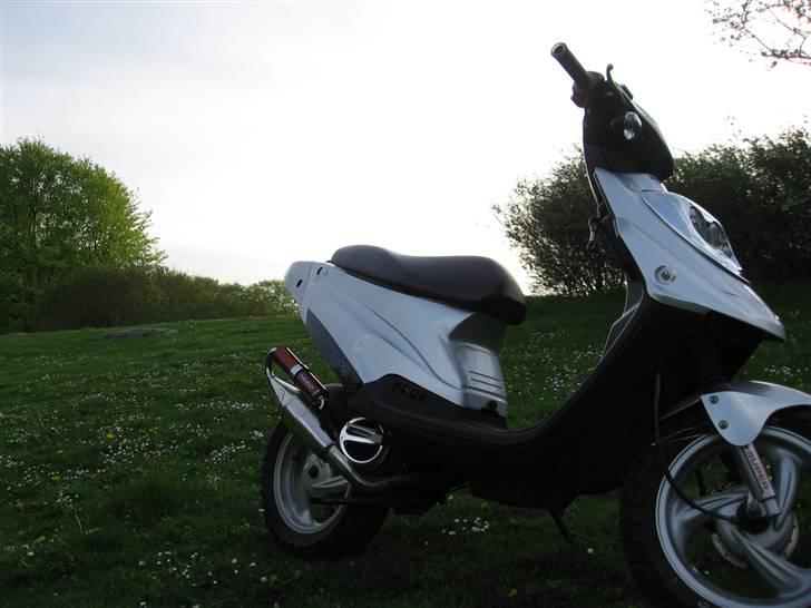 PGO Hot50 [TFR] billede 9