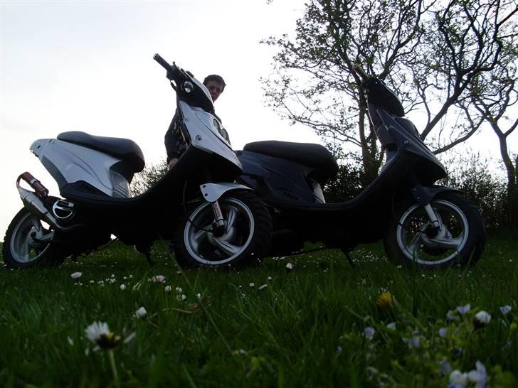 PGO Hot 50  billede 8