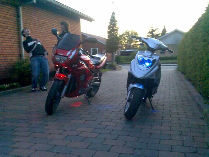 PGO Hot50 [TFR] - Min hot sammen med min mors Motorcykel begge med Dioder ! billede 20