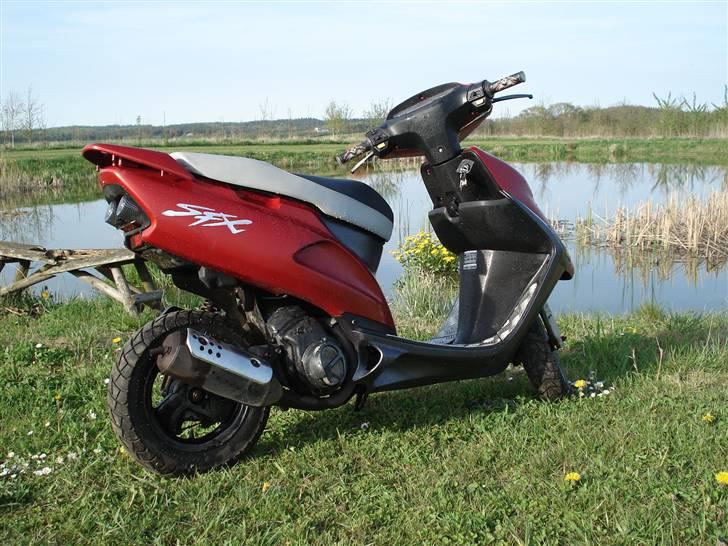 Honda SFX billede 5