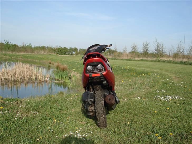 Honda SFX billede 6