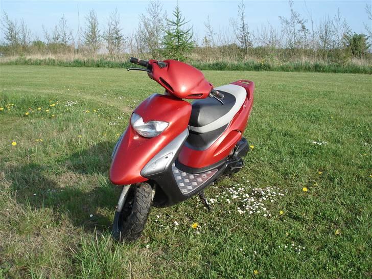 Honda SFX billede 7