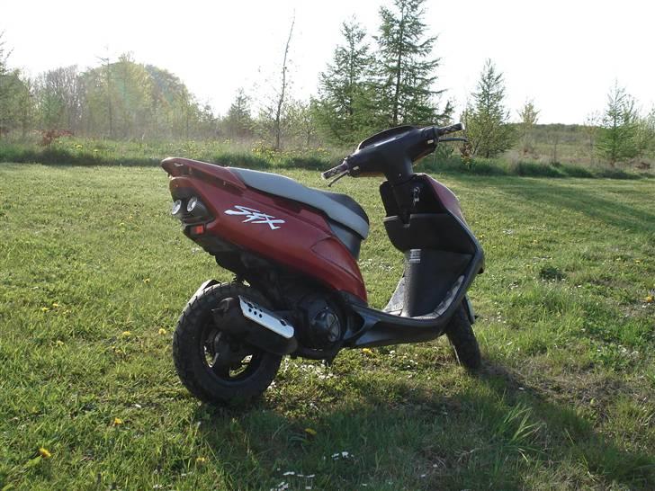 Honda SFX billede 9