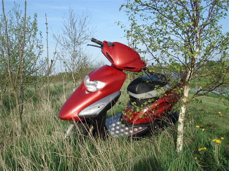 Honda SFX billede 10