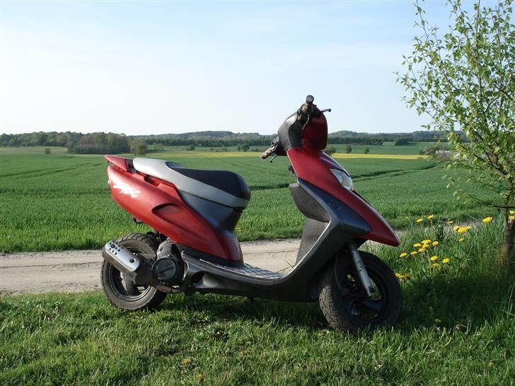 Honda SFX billede 11