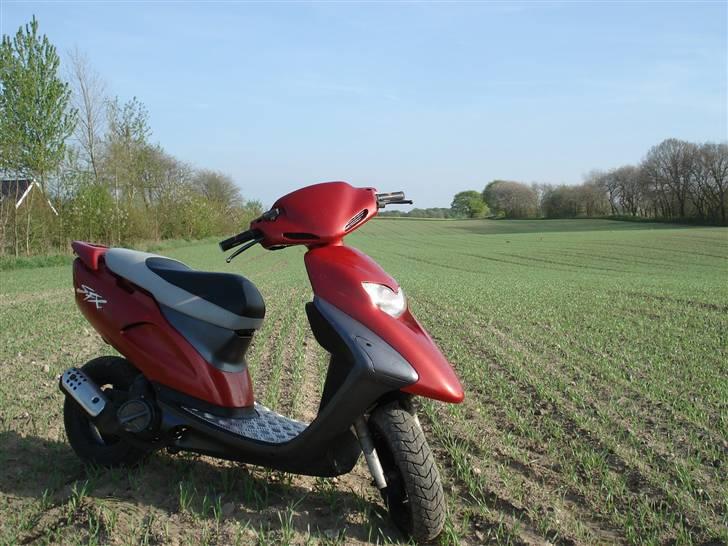 Honda SFX billede 12