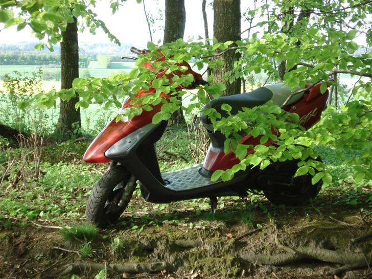 Honda SFX billede 15