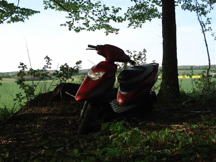 Honda SFX billede 16
