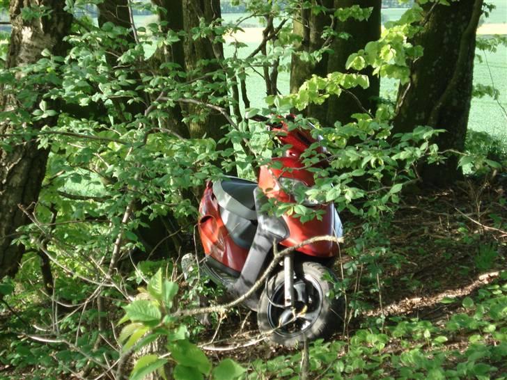 Honda SFX billede 18