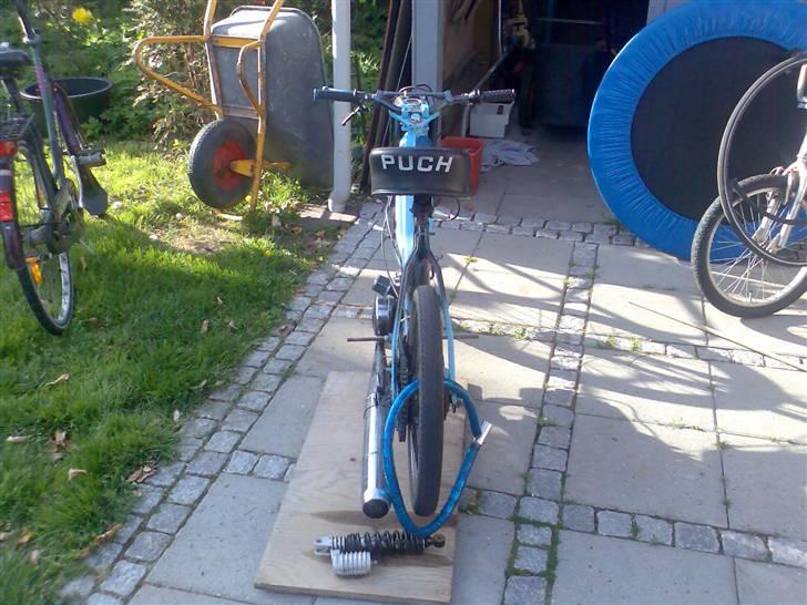 Puch maXi Pedal/Løb (SOLGT) billede 4