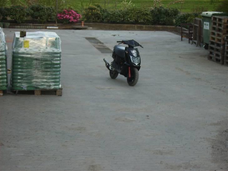 Aprilia Sonic  byttet : billede 3